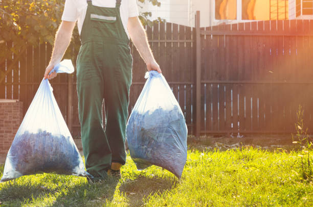 Best Furniture Removal Near Me  in Pirtleville, AZ