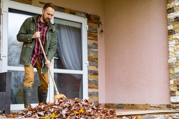 Best Junk Hauling Services  in Pirtleville, AZ