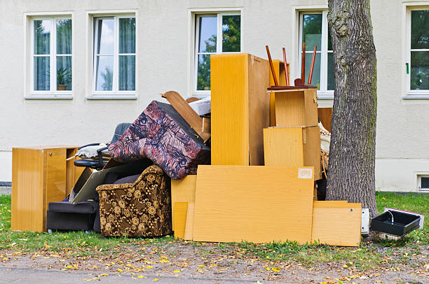 Yard Cleanup Services in Pirtleville, AZ